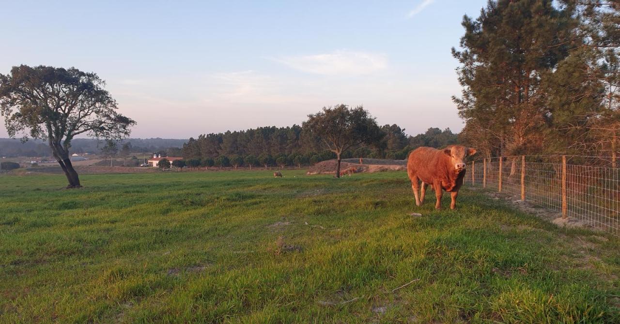 Monte Da Xara Βίλα Aljezur Εξωτερικό φωτογραφία